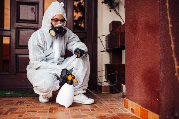 Reliable Wasp Removal contractor in Ocoee, FL by Show Me Pest Control